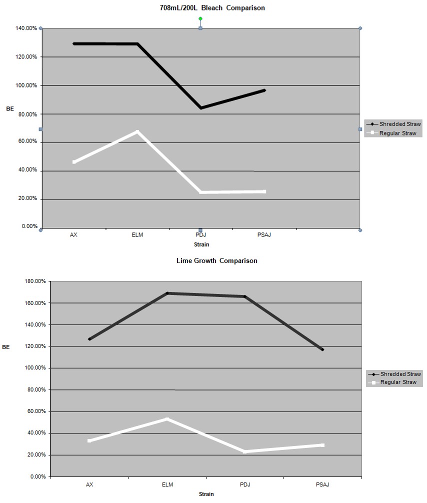 Figure 2: Unshredded straw vs. Shredded straw biological efficiency comparison graph Shredded and Regular Straw Comparison Graph.