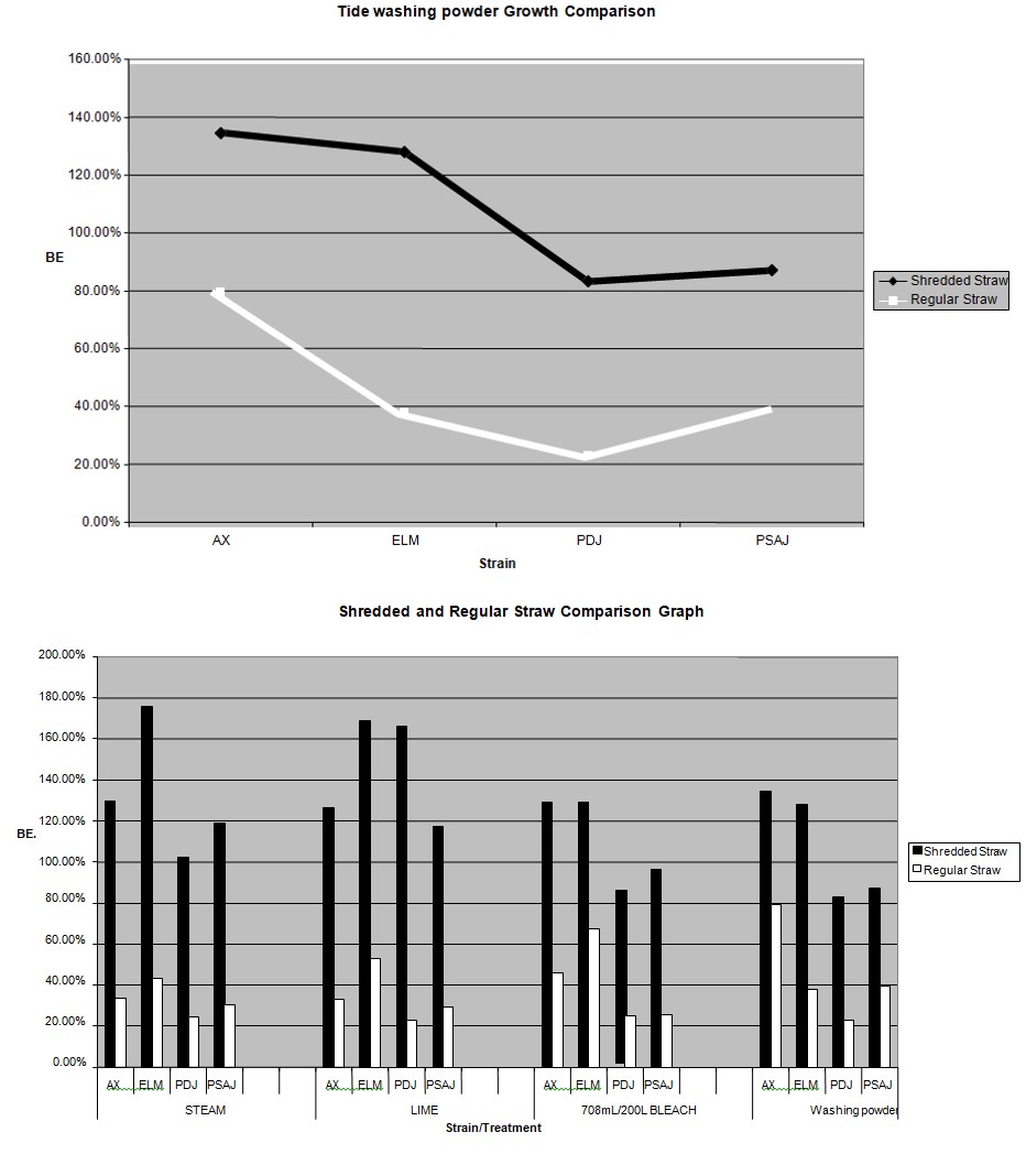 Figure 3: Regular straw vs. Shredded straw fresh weight totals Fresh Total Comparison.