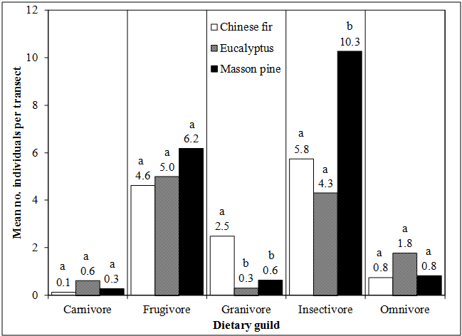 Figure 1: The mean number of individual birds grouped by diet category observed in the sampled Chinese fir, eucalyptus, and Masson pine forests of northeast Guangxi province, P. R. China. Means followed by the same letter are not significantly different between forest types at p = 0.05, Duncan’s MRT. The results of sample-based rarefaction curves (figure 2) illustrate the completeness of the transect inventories and the sufficiency of sampling efforts, due to their rapid approach to an asymptote. Masson pine forests had the highest numbers of individuals and species, reflecting high species richness of bird species. On the other hand, Chinese fir forests had the lowest numbers of individuals and species. Eucalyptus forests displayed more in terms of numbers of species and individuals than Chinese fir but less than Masson pine forests. However, eucalyptus forests were more closely aligned with Masson pine forests in this regard (Figure 2).