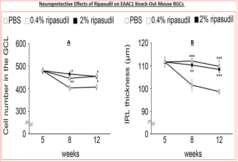 Figure 10: Inhibition of ROCK prevents RGC cell death and preserves retinal thickness in vivo.