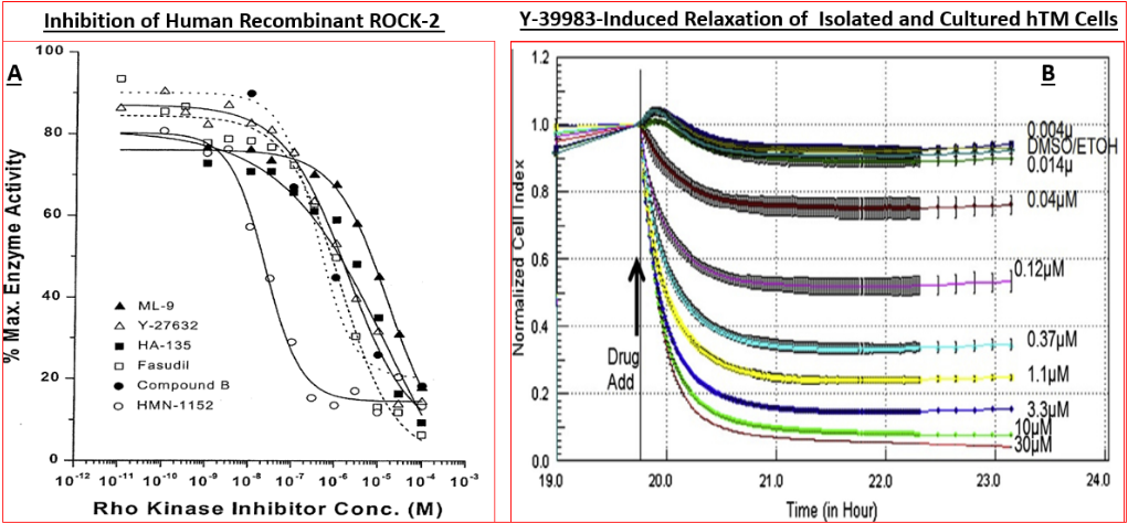 Figure 4: ROCK inhibitors competing for ATP bindingsite of ROCK-2 and cell-based assay of Y-39983 inhibitory activity.