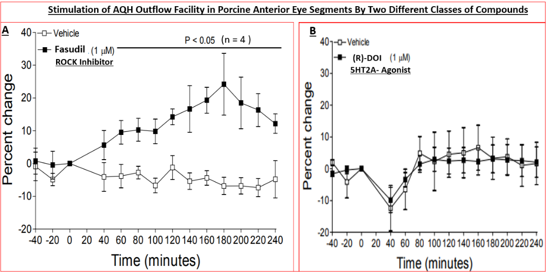 Figure 6: Effects of a ROCK inhibitor and a serotonin-2 receptor agonist on outflow from ANC of perfused porcine eyes in vitro.