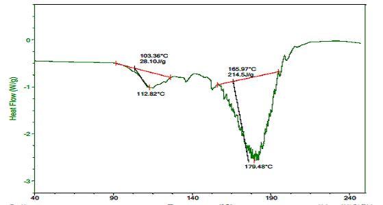 Figure 7: Represents DSC graph of drug loaded dendrimer. SEM Characterization