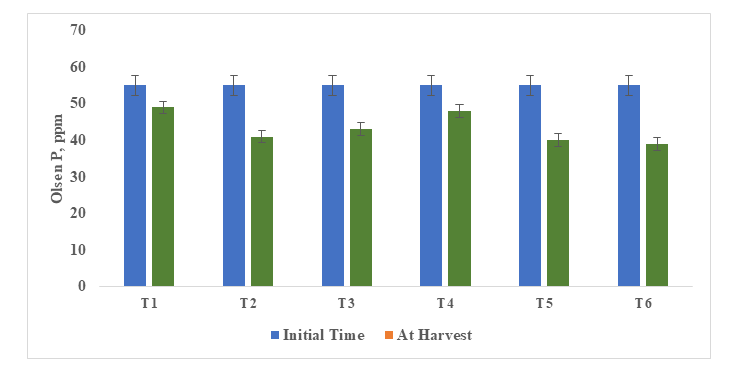 Figure 5: Soil Olsen’s P concentration at initial time and after crop harvest (R-4).