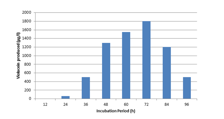 Figure 2: Effect of Incubation period on violacein production.