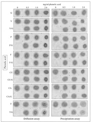 Figure 4: Interaction effect of single phenolic acids (PA) with gallic acid (G) on both diffusion on cellulose membranes and precipitation of salivary protein. PA/saliva and (1:1 PA + G)/saliva mixes representing three different total concentrations of phenolic acids (0.5, 1.0 and 2 mg/ mL) were spotted on a cellulose membrane and assayed for protein diffusion (left panel). Supernatants from the same mixes were used to assess precipitation of the salivary protein (right panel) also using cellulose membranes as described under Materials and Methods. Numbers on top of the panels stand for total concentrations of phenolic acids before being mixed with saliva. Concentration zero represents saliva correspondingly diluted with the hydroalcoholic solvent used to dissolve phenolic acids. As in previous figures, letters on the left of the membrane represent individual phenolic acids. Note similar decreases in the diffusion area of the salivary protein in direct relation with the increasing total concentrations of either single phenolic acids or their mixtures with gallic acid (additive effect), excepting tannic acid. This one displayed no anti-diffusive effect on the salivary protein and a dominant suppressive effect over the anti-diffusive activity of gallic acid. The precipitation assay, which is focused on the assessment of the supernatants for each experimental condition, closely mirrored the outcome of the diffusion assay.