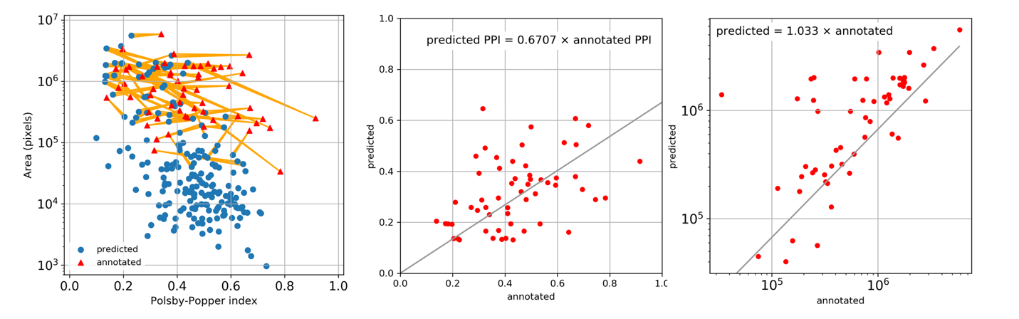 Figure 3: Comparison of size and shapes of annotated and predicted ROIs. A: Distribution of area and Polsby-Popper index (PPI) for annotation ROIs (red triangles) and prediction ROIs (blue dots). True positive predicted ROIs are connected to respective annotation ROIs with yellow lines. Note that false negative ROIs (with no connecting lines) mostly have small area. B: Correlation between the PPI of predicted and annotated ROIs (Pearson R=0·4184, _p_=0·0012). C: Correlation between the area of predicted and annotated ROIs (Pearson R=0·7961, _p_=1·3e-13).