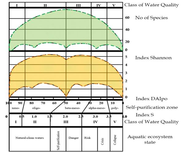 Figure 3: The distribution of Shannon index H over the Index DAIpo. The same distribution was constructed for the species richness in algal and cyanobacteria community over DAIpo. We combined together the scale of the DAIpo, the Sládeček Index S scale, the water quality classes and the fields formed by the Shannon index H and the number of species in the community. Figure 4 show the results of combining. The important thing in the figure is the scale of the Water Quality Classes that correspond to amplitudes of chemical and biological variables in the classification system [2]. The self-purification zones from Sládeček’s model (Figure 1) are correlated also with the Water Quality Classes. Sládeček’s zones are placed in the Figure 3 and correlate with the ecosystem state periods that we marked on the Shannon index H distribution base. Now we can see only one-two parameters in the ecosystem for assess of its state. So, Figure 5 show change of the Index S value amplitude in the Qishon River ecosystem from 2003 to 2005 when pollution and ecosystem disturbance were sharply increased [38]. Can be seen, in 2003 index S was correspond to narrow interval in Class III, whereas in 2005 index S was increased in its range in Class III and Class IV and correspond to the ecosystem risk state. Many other samples of ecosystem dynamic were revealed in our experience [39-41].