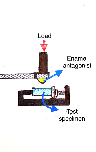 Figure 2: To simulate wear the antagonists (enamel molar cusps) ran back and forth 8mm (average lateral excursion in the bruxism group) [25] for 20,000 cycles to resemble aging of one month of clinical performance, assuming total grinding time of 320 seconds per night (40 seconds per hour of sleep/ average 8 hours of sleep/night) [26] under a load of 25 N. Specimen and antagonists were lubricated with water which was dispensed regularly throughout the test.