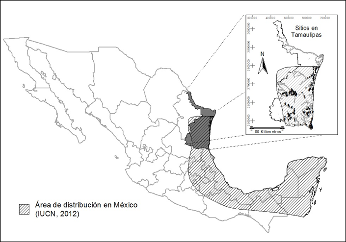 Figure 2: Distribution of Crocodylus moreletii in Mexico (IUCN, 2012; http://maps.iucnredlist.org/map.html?id=5663).