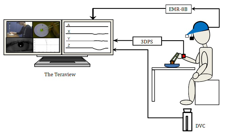 Figure 1: Experimental Setup EMR-8B is an eye tracher. 3DPS is a three-dimensional electromagnetic motion tracking system. DVC indicates digital video camera. The Teraview is a digital motion picture waveform real-time synchronous recording system.