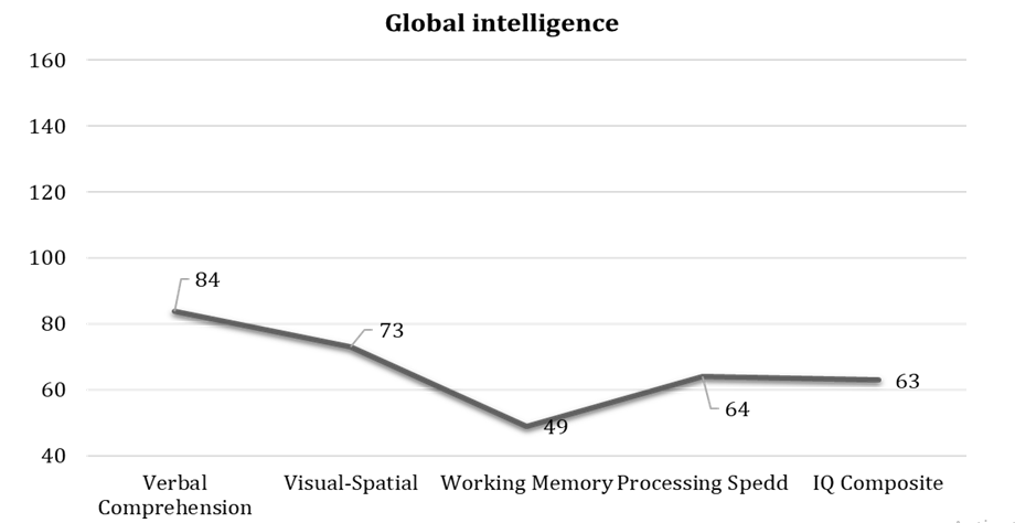 Figure 1: Global Intelligence.
