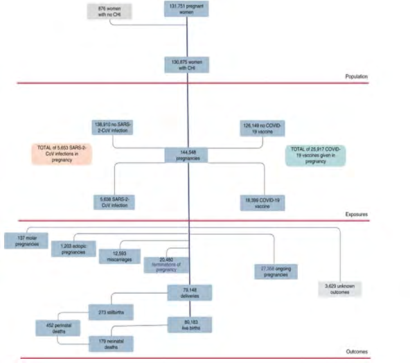 Figure 2: Health services.