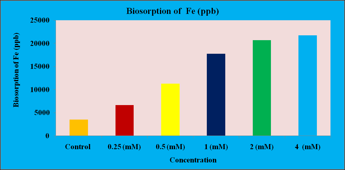 Figure 2: Showing images of different parts of Sargassum cinereum after Fe treatment.