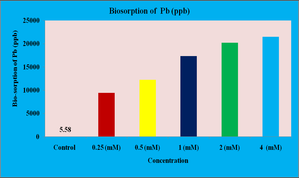 Figure 3: Showing the biosorption capacity of Ferrous of Sargassum cinereum.