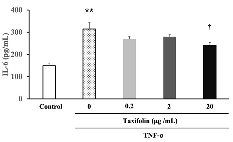 Figure 4: TNF-α stimulation significantly increased IL-6 concentration in the medium. Co-treatment with taxifolin (20 µg/mL) significantly inhibited the TNF-α- induced increase in IL-6 level.