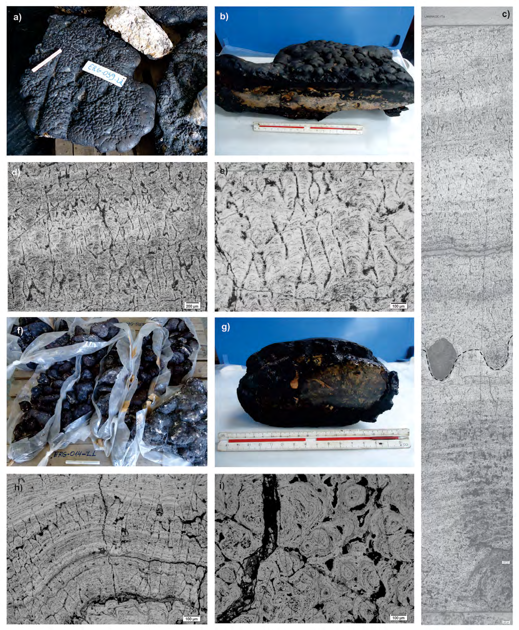 Figure 7: Images of an young non-phosphatized crust: a) and b) hand specimens of plate-like crust (scale of 15 cm) with botryoidal surficial habit and plate-like crust section, respectively; c) thin section profile in reflected light under the microscope of plate-like crust with hiatus surface; d) and e) columnar structure and detail of columnar structure, respectively, in reflected light under the microscope; f) and g) hand specimens of (scale of 15 cm) nodule-like crust and section; h) and i) wavy-layered and columnar structures of nodule-like crust and micro-nodule structure of crust, respectively, in reflected light under the microscope.