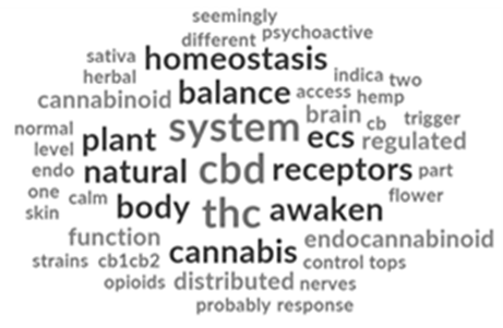 Figure 1: Word cloud of common coded words from interviews regarding knowledge of CBD and the ECS.