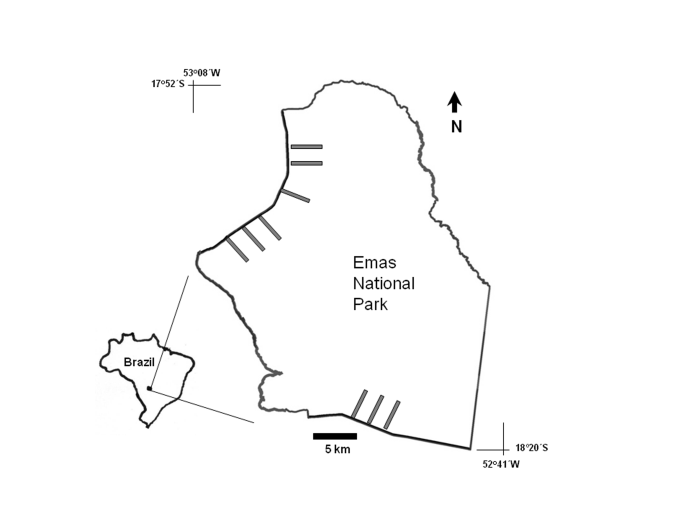 Figure 1: Map of the study area in western Cerrado, southwestern Brazil, with the nine grassland areas [gray rectangles] where birds were surveyed at Parque Nacional das Emas, adjacent to agricultural landscape.