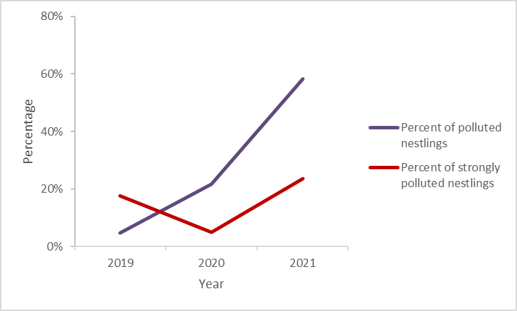 Figure 5: Change of the percent of polluted nestlings in 33 observed villages in 2019-2021.