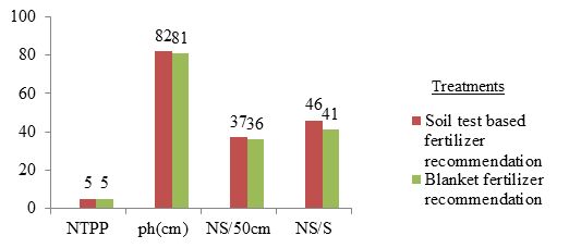Figure 1: Effect of Phosphorus fertilizer rates on growth components of wheat NTPP = number of tiller per plant; ph = plant height, NS = number of spike; NS/S = number of seed per spike Moreover, the result revealed that grain and straw yields in soil test based fertilizer recommendation were 19% and 12% higher than the blanket type of application (30 P kg ha-1 and 73 N kg ha-1), respectively (Fig 2). Therefore the soil test based fertilizer application is suitable in such a way that it receives an optimal fertilizer to feed the crop.