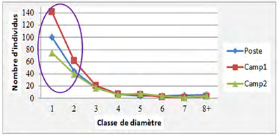 Figure 3: Variation in assisted natural forest regeneration induced by silvicultural treatment based on the diameter structure of different study plots. Note: Class 1 (10-20cm), Class 2(20-30cm), Class 3(30-40cm), Class 4(40-50cm), Class 6(50-60cm), Class 7(60-70 cm), class 8 (70-80 and >80cm). It emerges from Figure 3 above that the plots of Camp 1 showed significant assisted natural forest regeneration compared to the other sample plots. Eight different diameter classes were observed. The installed regeneration class is more important with a stem count that varied between 70 and 145 individuals. Diameter classes 1 and 2 constitute assisted natural forest regeneration. Plots at the RBL station showed average natural forest regeneration compared to plots at two other sites. Camp 2 plots showed low assisted natural forest regeneration compared to the other two previous plots.