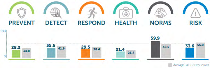 Figure 1: Global Health Security (GHS) Index Country Profile for Cameroon (2019) Source: (GHS Index, 2019).