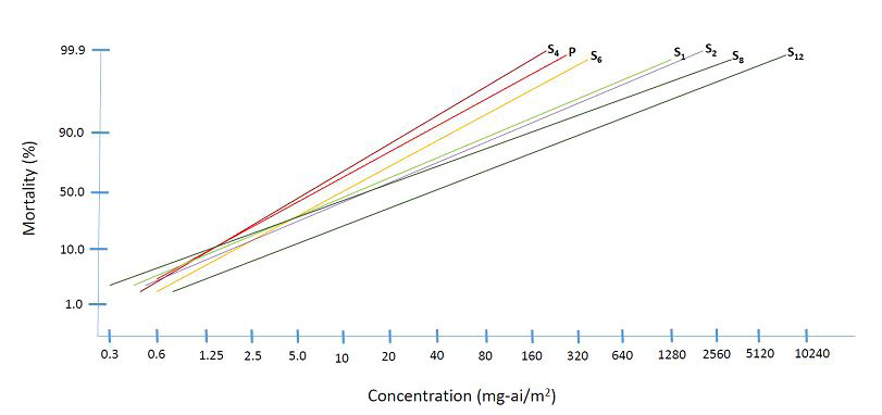 Figure 4: Probit lines derived from the parent (reference) and succeeding selected generations (S1 to S12) of Anopheles dirus.