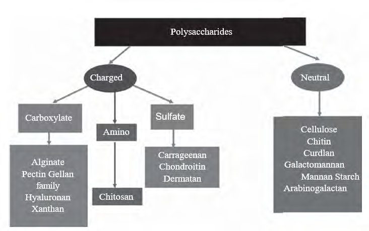 Figure 2: ** Classification of polysaccharides used in drug delivery.