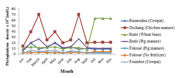 Figure 2: It generally appeared that with the exception of the months of September to December in the ponds of Batie fertilized with the wheat bran where the evolution was contrary, the density curves presented the same profile, pace and trend regardless of the site and the type of fertilizer. Outside of the last three months of the study where density values were higher in ponds fertilized from Batie, they were higher in Dschang overall. With the peaks of density observed in the months of March and August. From January to September the lowest density values of phytoplankton were observed in the unfertilized ponds of Fokoue. While the lowest values were recorded in the ponds of Foumbot fertilized with cowpat between the months of September to December.