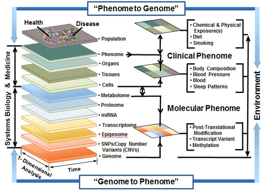 Figure 13: Phenome through the view of PPM.