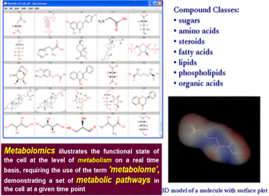 Figure 14: Metabolomicse through the view of PPM.