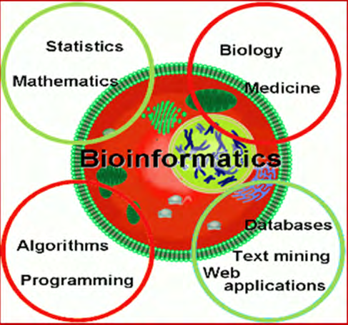 Figure 5: Block Chain and Artificial Intelligence.