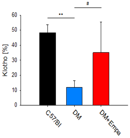 Figure 5: Klotho area staining % in the GCL retina. There was significant decrease in the % area in the DM group vs. control (P<0.01), and the EMPA treated group P<0.05.
