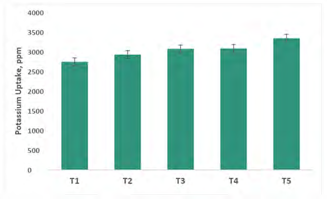 Figure 10: Potassium uptake in capsicum at harvest (R-4). T1- Control; T2- Control (100% RDF); T3- Consortium AM Fungi; T4- Consortium PGPR; T5- Absolute Consortium PGPR+ AM Fungi