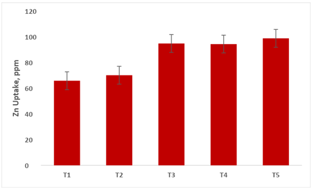 Figure 12: Iron uptake in capsicum at harvest (R-4). T1- Control; T2- Control (100% RDF); T3- Consortium AM Fungi; T4- Consortium PGPR; T5- Absolute Consortium PGPR+ AM Fungi