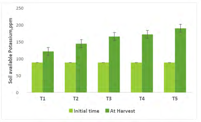 Figure 7: Soil available Potassium concentration at an initial time and after crop harvest (R-4). T1- Control; T2- Control (100% RDF); T3- Consortium AM Fungi; T4- Consortium PGPR; T5- Absolute Consortium PGPR+ AM Fungi
