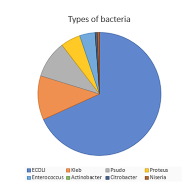 Figure 4: Number of cases of UTI according to types of bacteria.