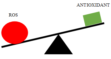 Figure 1: Imbalance between antioxidant and reactive oxygen species.