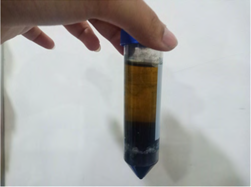 Figure 3: Bio-filter prototype with Cr(VI) water.