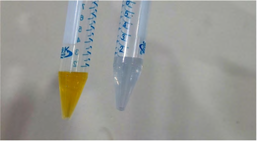 Figure 4: 200 mg/l Cr(VI) laden water (Left): Before treatment and (Right): After passing through the biofilter.