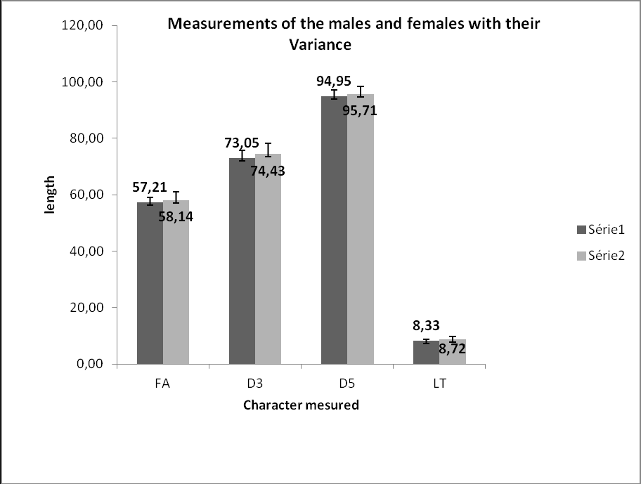 Figure 2: Measurements of males and females of Myotis punicus and their variance.