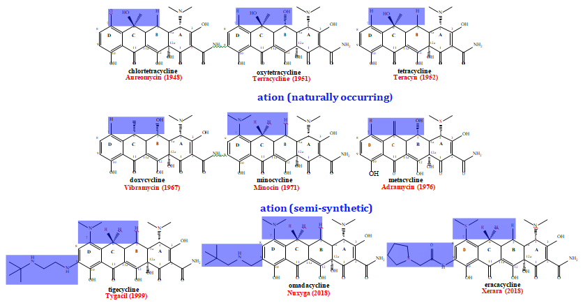 Figure 2: ** Representative Tetracyclines from Different Generations. A) The first generation of the drug were isolated directly from different strains of the _Streptomyces_ genus and were put into clinical use during the 1940’s through the 1950’s. Development of clinical resistance led to semi-synesthetic routes to generation subsequent generations. B) Second generation tetracyclines were produced through the modification of substituents on C5-7. These came onto the market in the late 1960s through the 1970s. C) More modern generations were produced through the addition of substitutes to C9 and came onto the market in the late 1990s through the 2010s.