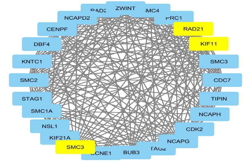 Figure 10: The Protein-Protein Interaction network of DEGs from module 2