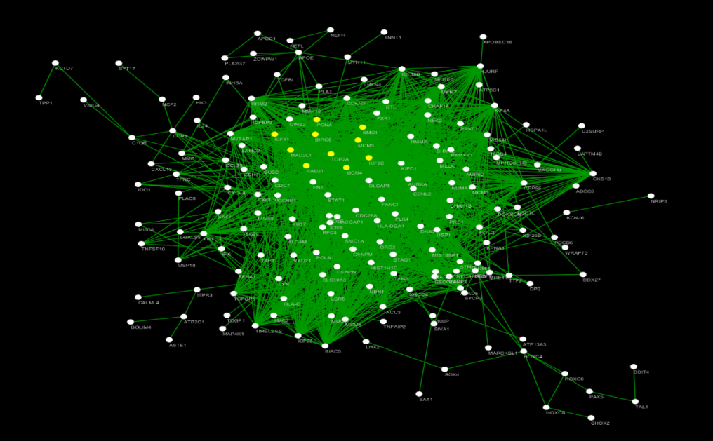 Figure 12: The Protein-Protein Interaction network of DEGs.