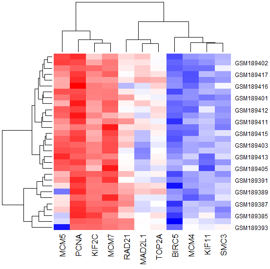 Figure 13: Heat map of hub genes.