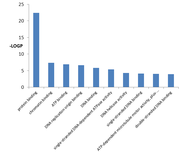 Figure 6: GO Pathway of molecular function analysis of DEGs using LOGP.