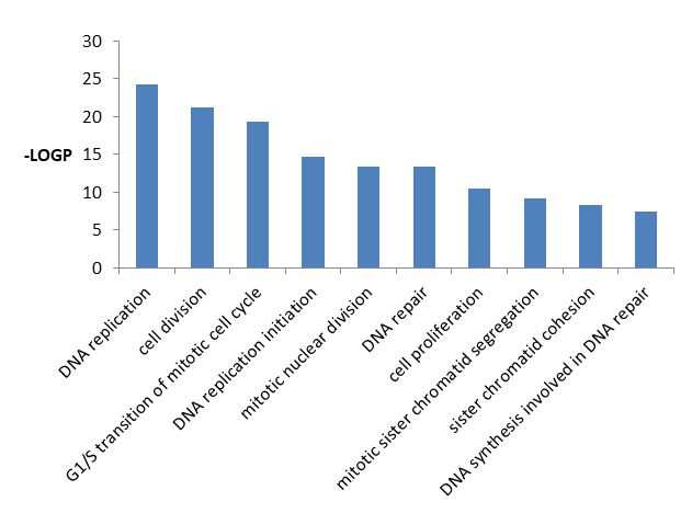 Figure 7: GO Pathway of biological process analysis of DEGs using LOGP.