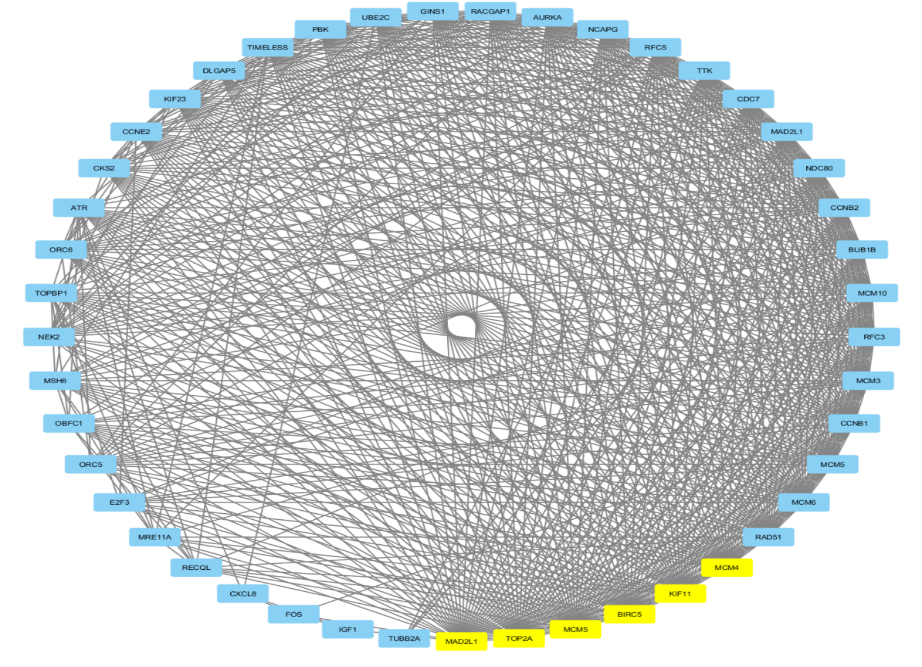 Figure 9: Protein-Protein Interaction network of DEGs from module 1.