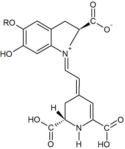 Figure 2: Chemical Structure of Gallic Acid. However, the antioxidant activity of dragon fruit is mainly due to the content of ascorbic acid (Vitamin C). As shown in (Table 3), dragon fruit contains 20.5 mg of vitamin C per 100 g of raw fruit [38]. The chemical structure of ascorbic acid is shown in (Figure 3). In living organisms, ascorbic acid serves in many physiological functions, such as acts as reductant to prevent cellular components from oxidative damage [39]. This is because ascorbic acid has the capability of serving as a scavenger in the oxidation of free radicals and oxygen-derived species, e.g., singlet oxygen, hydrogen peroxide and hydroxyl radicals [40]. Hence, ascorbic acid is found to be very useful in the treatment of photo-aging [41]. Instead, pro-oxidant properties of ascorbic acid also contribute to its antibacterial effects [42].